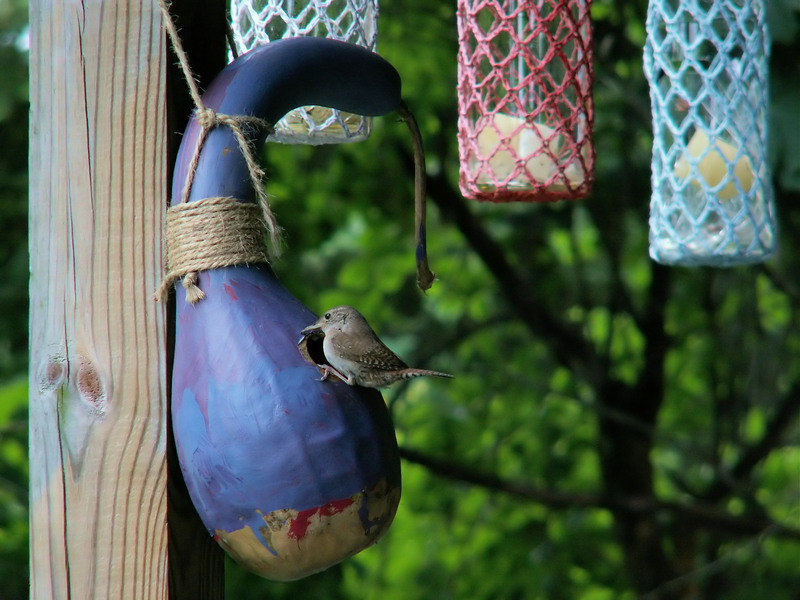 Economical Approaches to Getting Rid of Bulky Waste Items